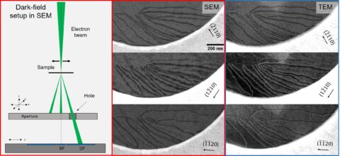 Towards entry "Correlative microscopy qualifies scanning electron microscopy for defect analysis in 2D materials"