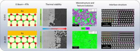 Towards entry "Correlative electron microscopy, X-ray diffraction and DFT reveal the influence of substrate polarity on metal thin film growth characteristics"